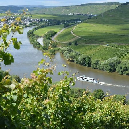 Weingut***Pension Guenther Scholtes Leiwen Zewnętrze zdjęcie