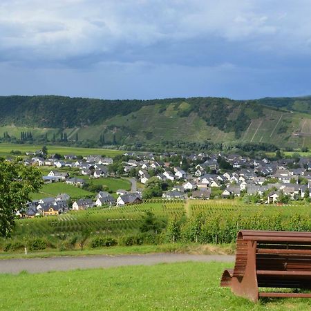 Weingut***Pension Guenther Scholtes Leiwen Zewnętrze zdjęcie