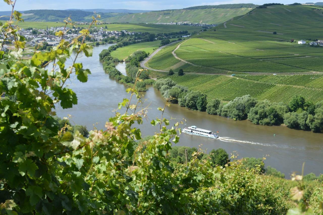 Weingut***Pension Guenther Scholtes Leiwen Zewnętrze zdjęcie