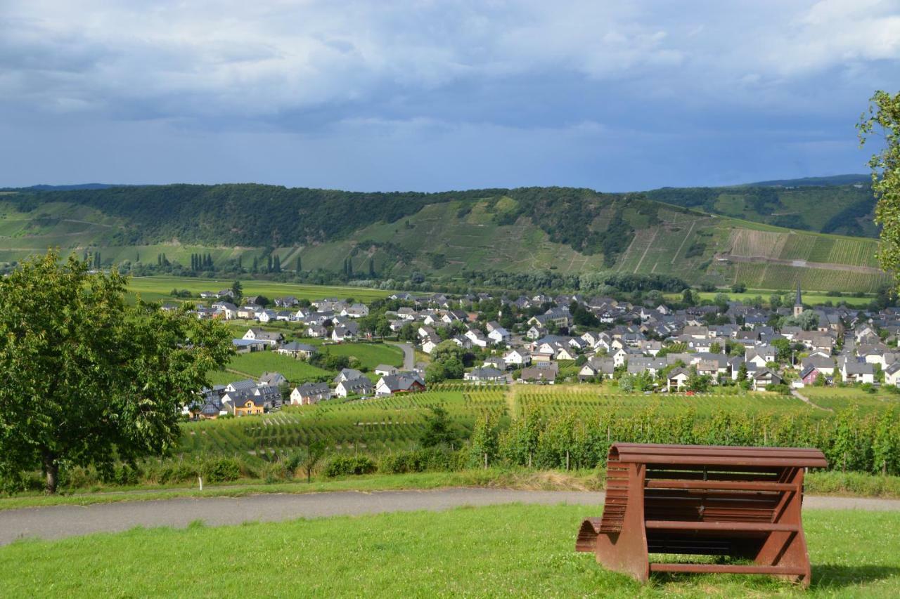 Weingut***Pension Guenther Scholtes Leiwen Zewnętrze zdjęcie