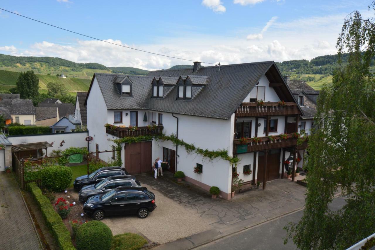 Weingut***Pension Guenther Scholtes Leiwen Zewnętrze zdjęcie